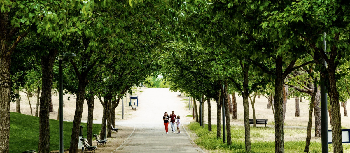 Varias personas pasean en el Parque Juan Carlos I, en Madrid