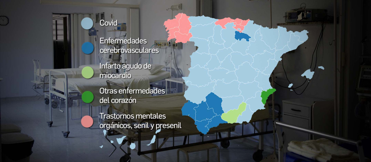 Por grupo de enfermedades, el ranking lo encabezan las del sistema circulatorio