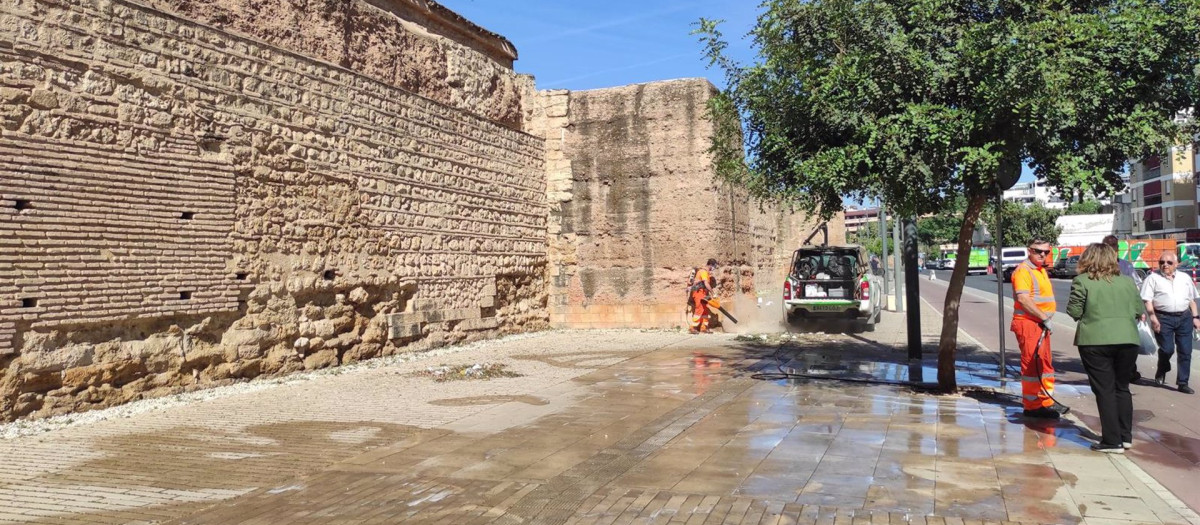 Labores de Sadeco en el entorno de la Muralla del Marrubial