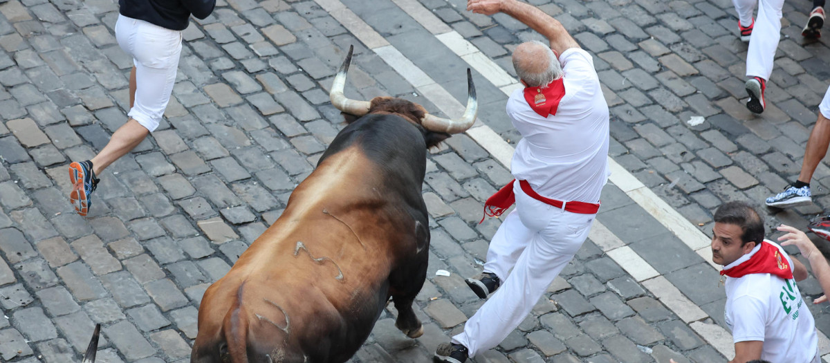 El toro castaño de Fuente Ymbro, protagonista del encierro