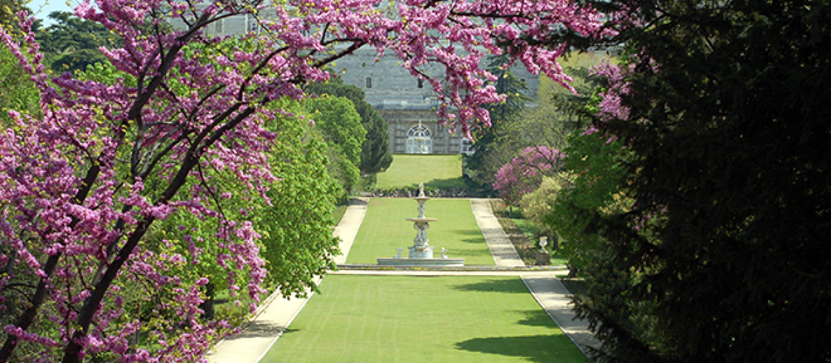 Jardines del Campo del Moro