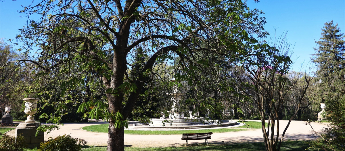 Vista de la fuente monumental de Las Conchas, del arquitecto Ventura Rodríguez (Siglo XVIII), en los jardines del Campo del Moro, a 2 de abril de 2023, en Madrid, (España). Felipe II creó este jardín histórico situado en un eje verde, con más de 20 hectáreas, junto a Madrid Río. Fueron declarados Monumento Histórico Artístico en 1931. Su nombre hace referencia a un episodio histórico sucedido en 1109, cuando el caudillo musulmán Alí Ben Yusuf intentó reconquistar Madrid tras la muerte del rey Alfonso VI, atacando el alcázar desde la ladera próxima al río. Sus tropas y él parece ser que acamparon en el lugar que hoy ocupan los jardines. Con motivo de la próxima inauguración del Museo de las Colecciones Reales (prevista para el verano de 2023) se ha construido un acceso público al Campo del Moro a través de la puerta situada en la intersección del Paseo de Felipe V, en el interior de los jardines, con la Cuesta de la Vega.
02 ABRIL 2023;JARDÍN;JARDINES;PLANTAS;VEGETACIÓN;AIRE LIBRE;PRIMAVERA;MADRID;FUENTE;BANCO;ÁRBOLES;PASEO;
Ricardo Rubio / Europa Press
(Foto de ARCHIVO)
02/4/2023