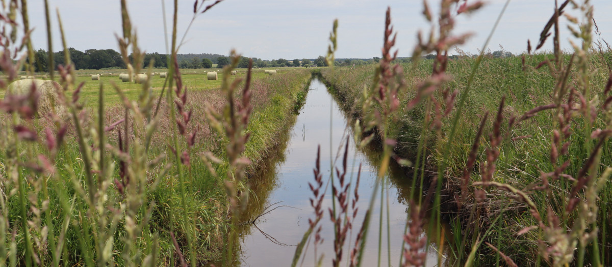 Vista de un canal que se ha excavado para regar un área de lodo rehumedecido junto a un campo agrícola seco