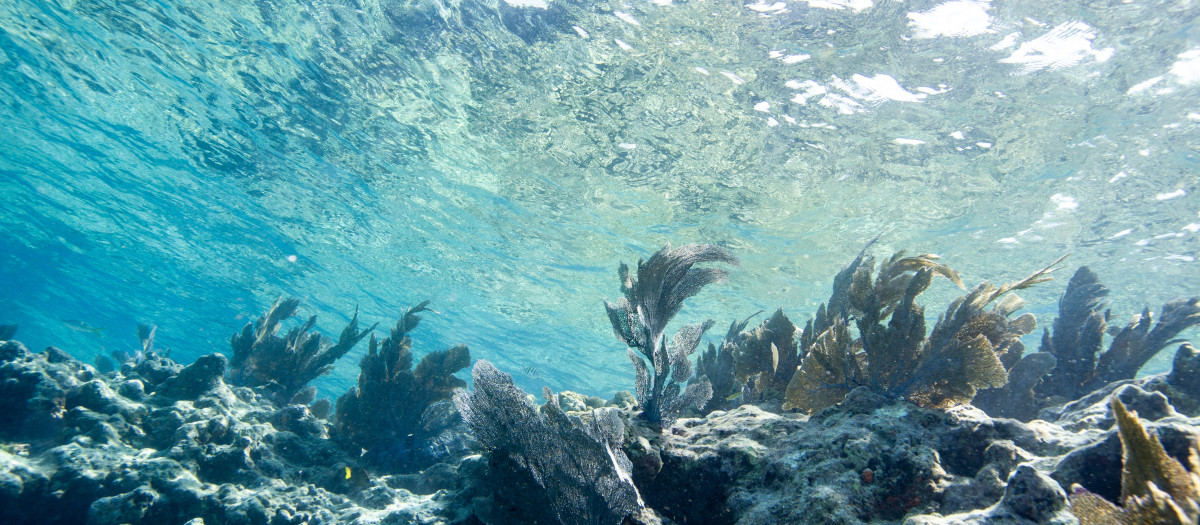 Profundidades del mar en la costa de Florida