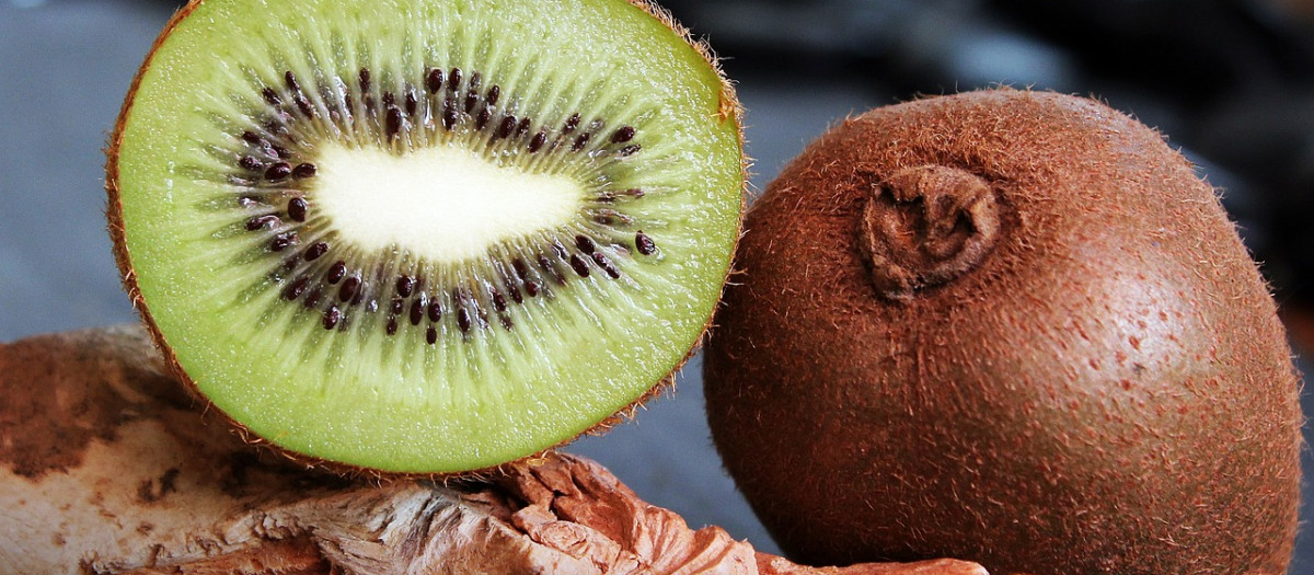 El kiwi puede aportar muchos beneficios a tu organismo