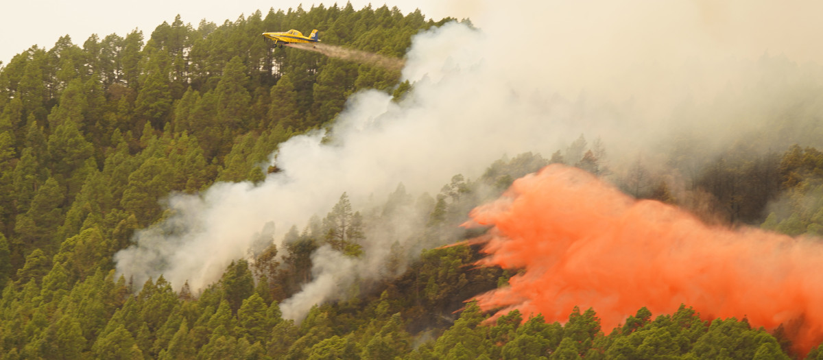 Un hidroavión lanza agua sobre el incendio forestal en las inmediaciones del municipio de El Rosario