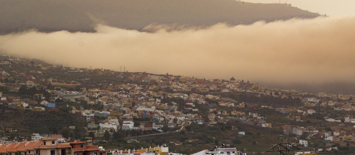 El humo provocado por el incendio forestal de Tenerife, visto este sábado sobre el valle de La Orotava