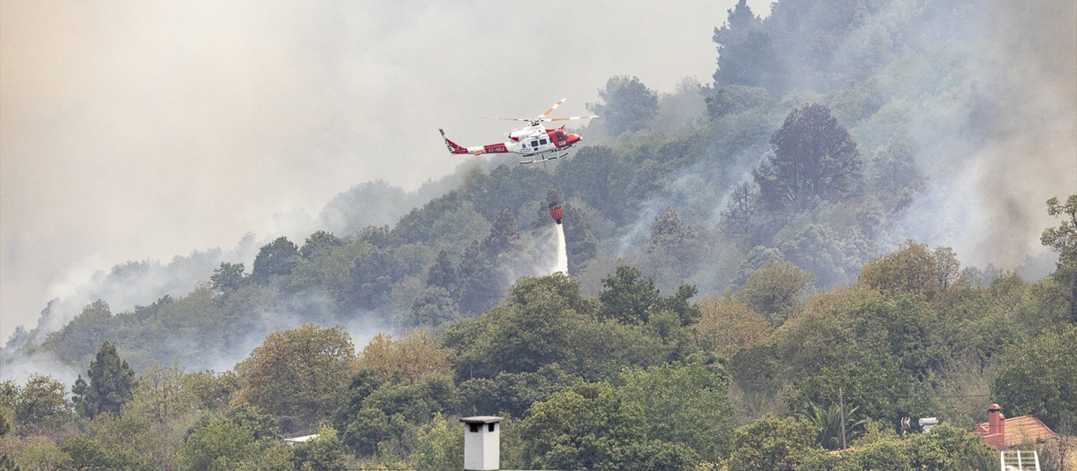 Un hidroavión trabaja en la extinción del incendio forestal en La Orotava, Tenerife