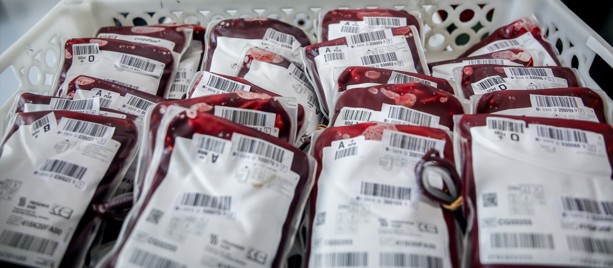 Bolsas de sangre en el laboratorio del centro de Transfusión de Valdebernardo