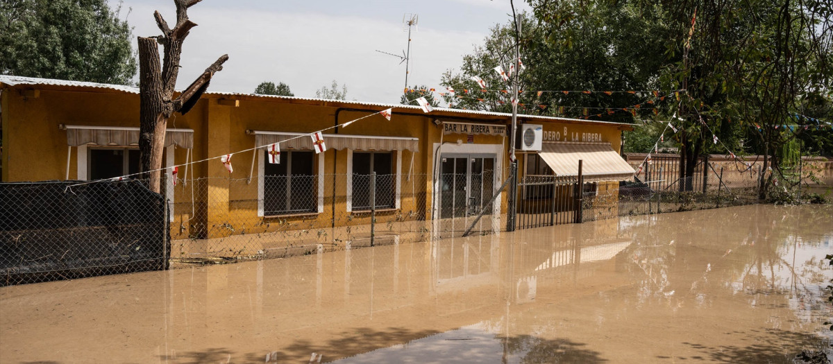 Zona inundada por el río Alberche en Escalona, Toledo