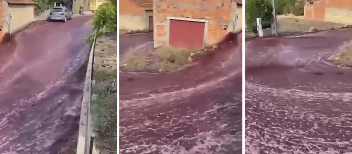 El río de vino recorriendo las calles de Anadia, Portugal