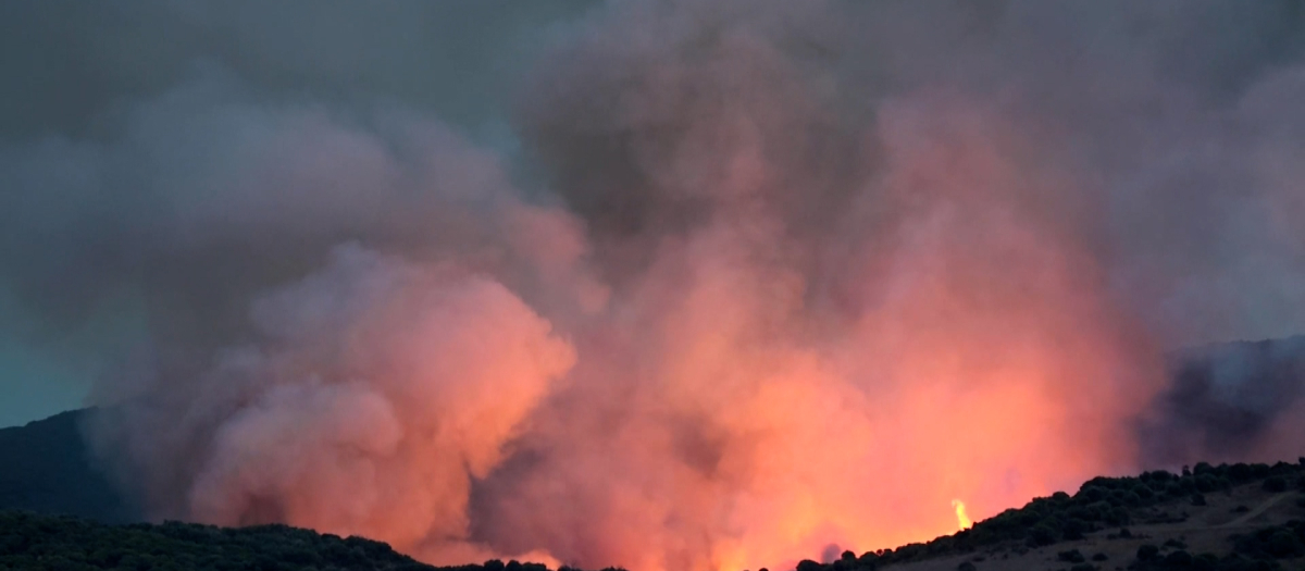 Evacuados varios cortijos y confinada urbanización por un incendio en Algeciras (Cádiz)