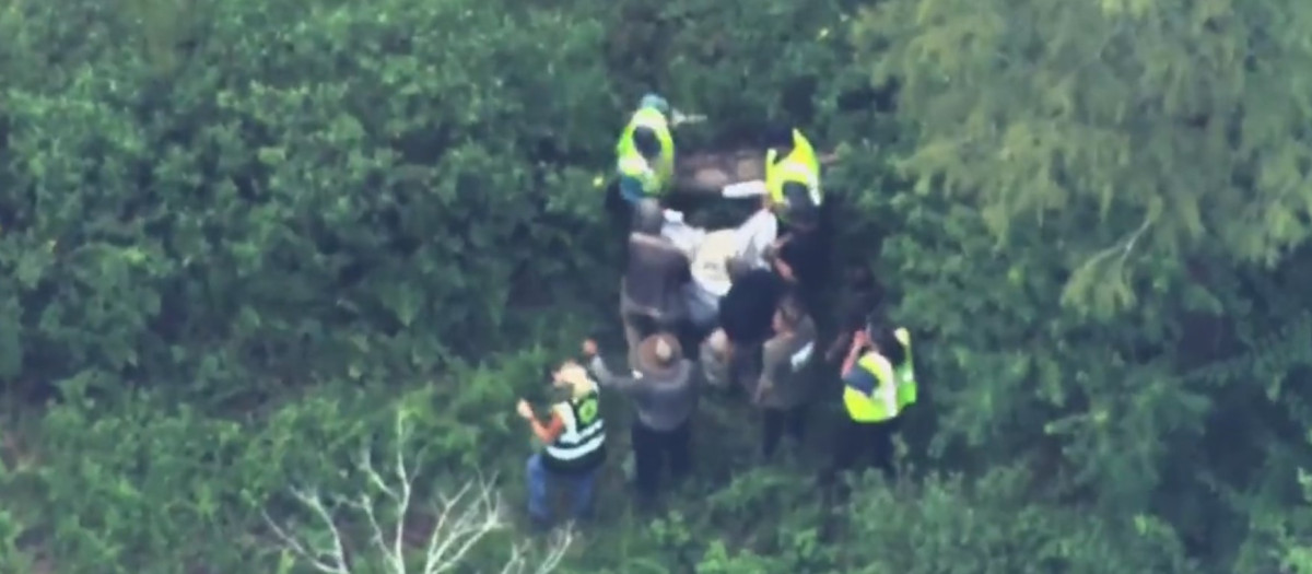 El momento en el que el oso que ha provocado varios cierres en Disney World es capturado