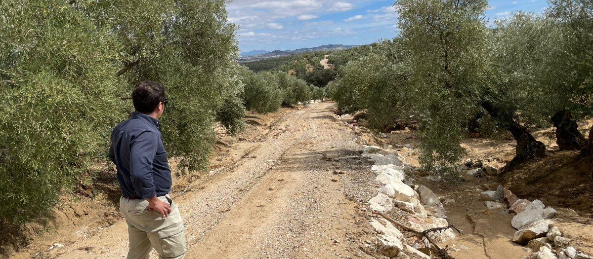 Joaquín Reina visita las obras en el camino anegado en Puente Genil