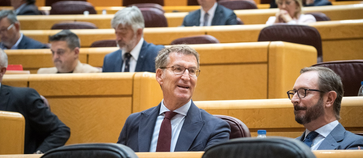 El presidente del PP, Alberto Núñez Feijóo y el portavoz del Partido Popular en el Senado, Javier Maroto