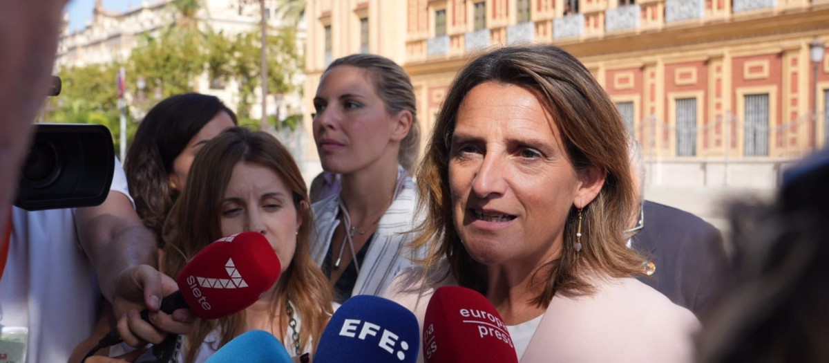 La vicepresidenta del Gobierno y ministra para la Transición Ecológica y el Reto Demográfico en funciones, Teresa Ribera, a su llegada al Palacio de San Telmo, en Sevilla