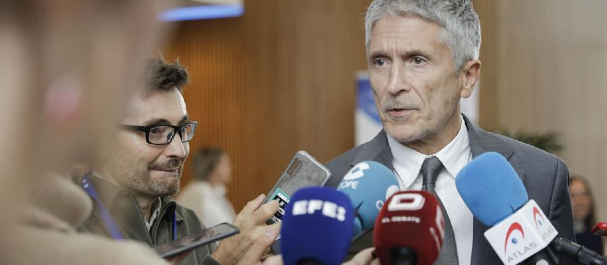 Fernando Grande-Marlaska, ministro de Interior en funciones, en el parlamento europeo