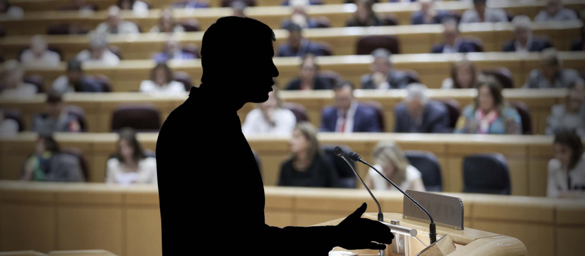 Pedro Sánchez, en una sesión anterior del Senado