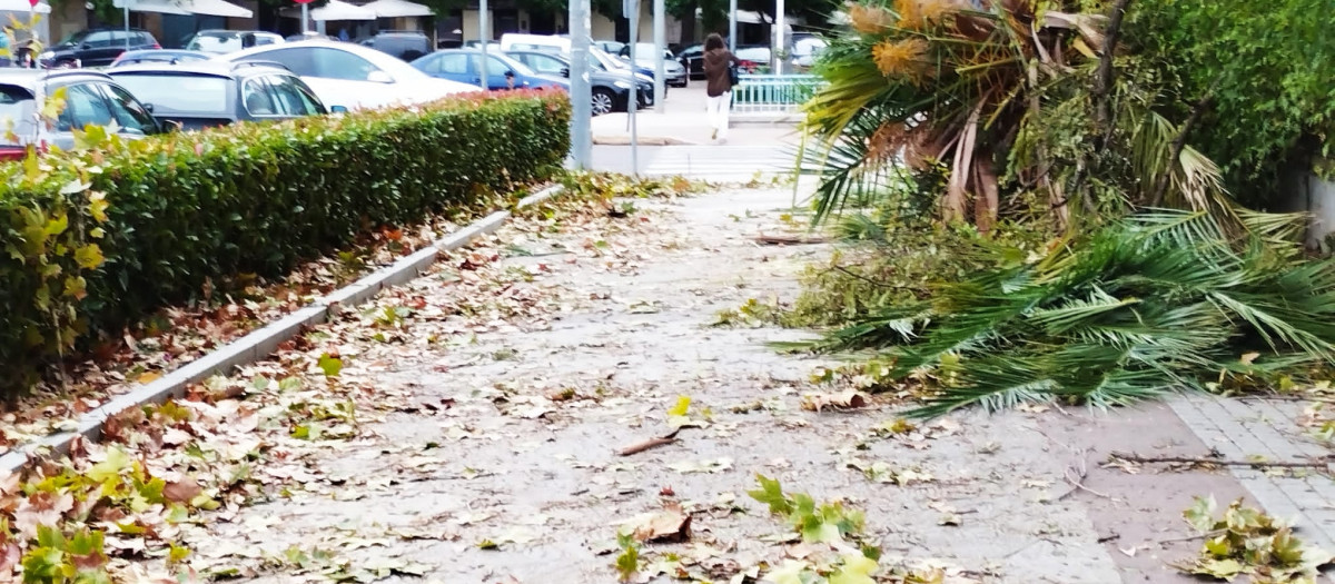 La borrasca Bernard en Córdoba