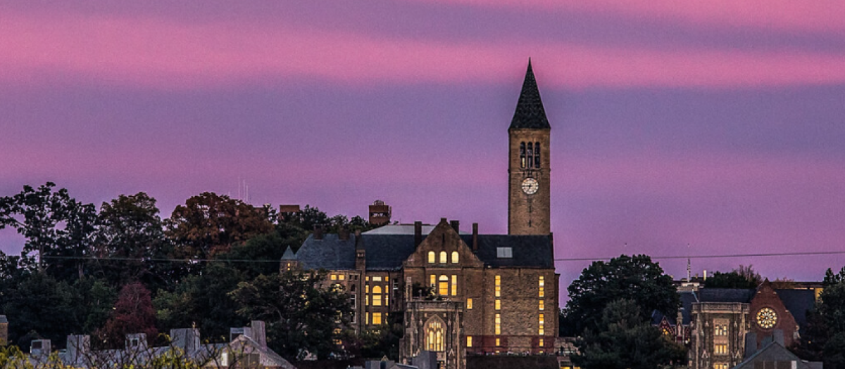 Campus de la Universidad de Cornell, con su famosa torre