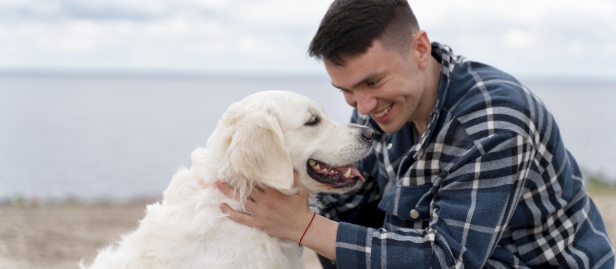 Un perro con su dueño