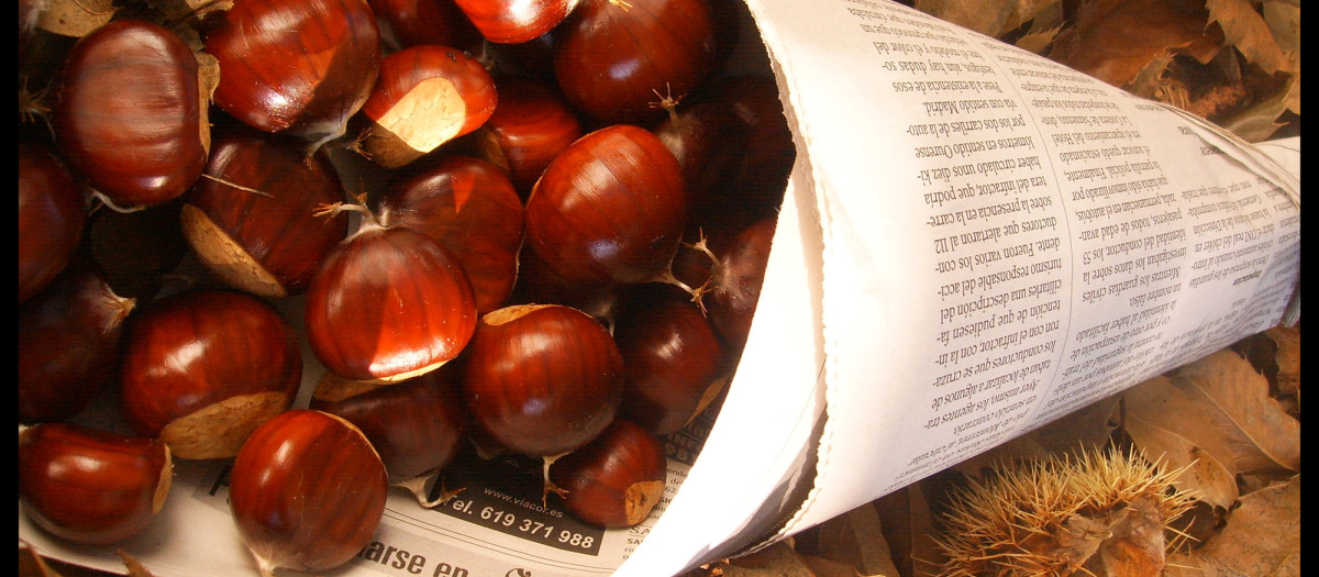 Las castañas son un fruto seco típico del otoño