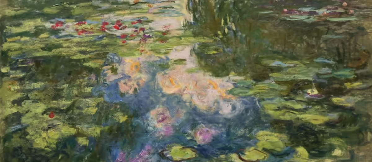 Nenúfares Monet