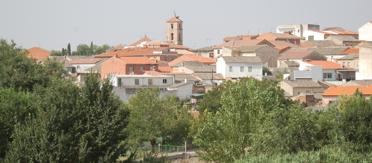 Vista de Carpio de Tajo