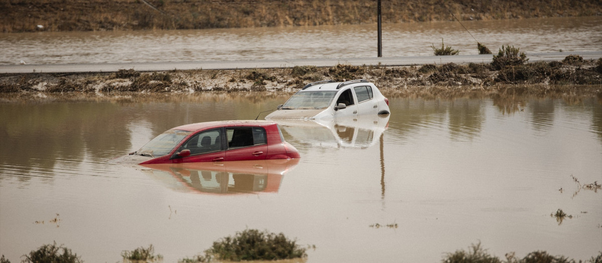 Dos coches hundidos al lado de la autovía A-42, 4 de septiembre de 2023, en Bargas, Toledo