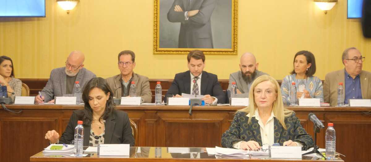Pleno del Ayuntamiento de Cabra