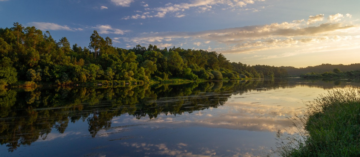 Río Miño