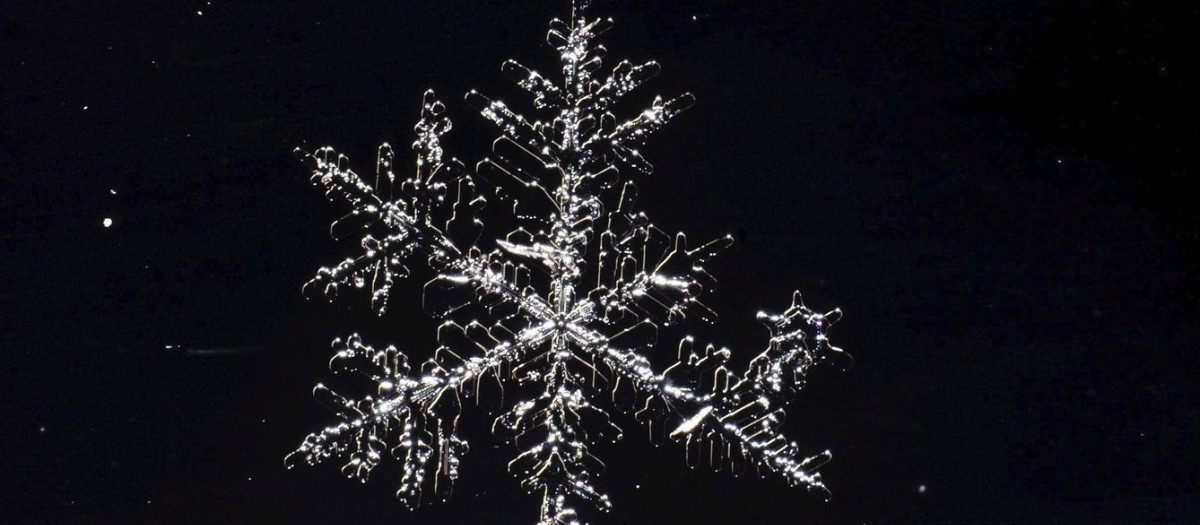 Estructura de un copo de nieve observado desde cerca