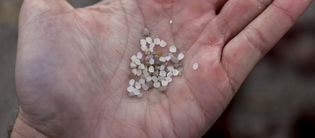 Pellets de plástico recogidos en la playa del Orzán, en La Coruña