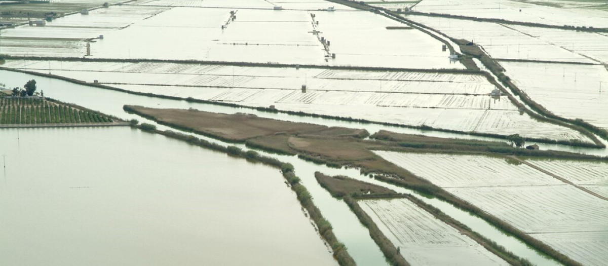 Vista del Parque Natural de la Albufera