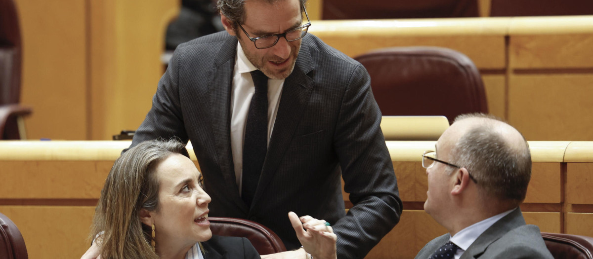 El portavoz del PP, Borja Sémper (de pie), habla con el portavoz parlamentario del partido, Miguel Tellado, durante el pleno del Congreso