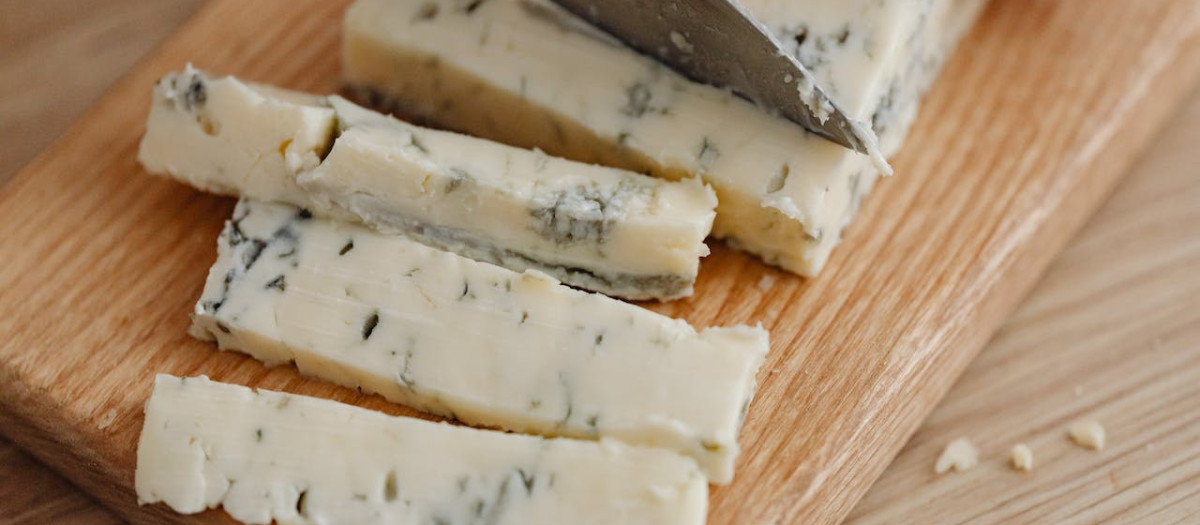 queso gorgonzola