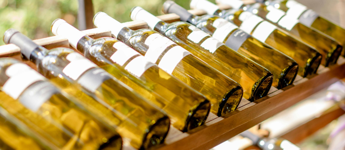 Vinos