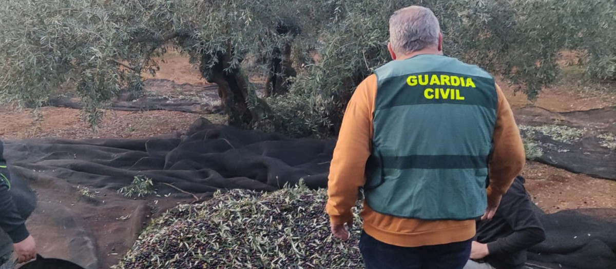 Operativo de la Guardia Civil