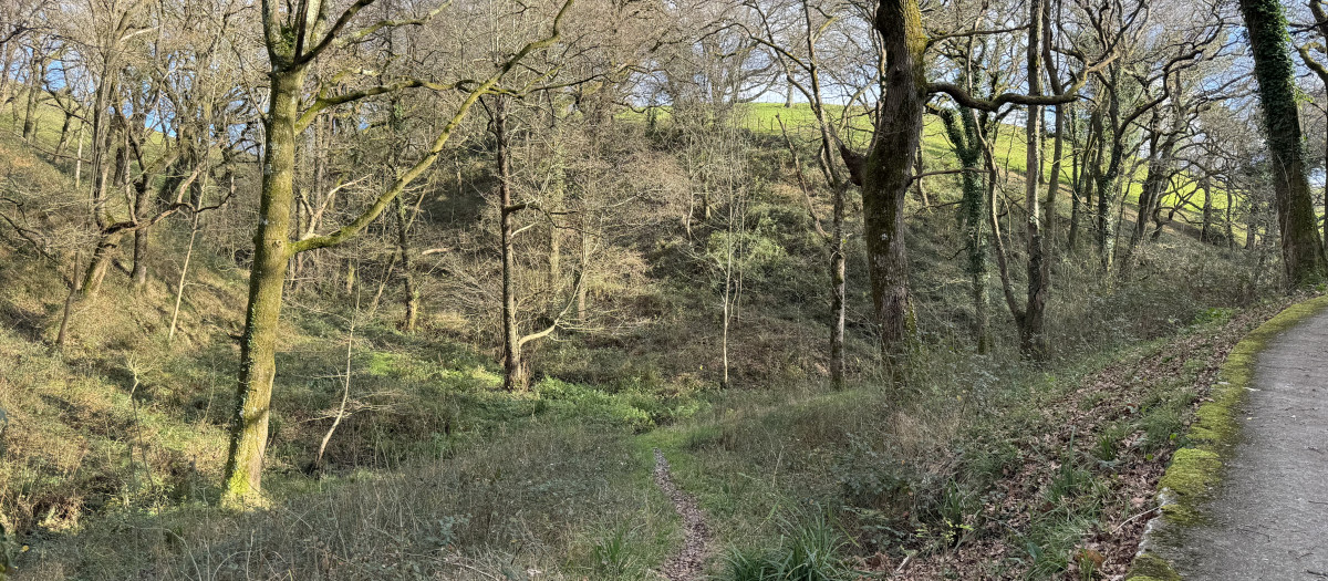 Bosque de Lasarte donde ETA asesinó a Miguel Ángel Blanco en 1997