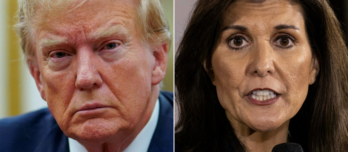 El expresidente Donald Trump y Nikki Haley se disputan la nominación presidencial del Partido Republicano