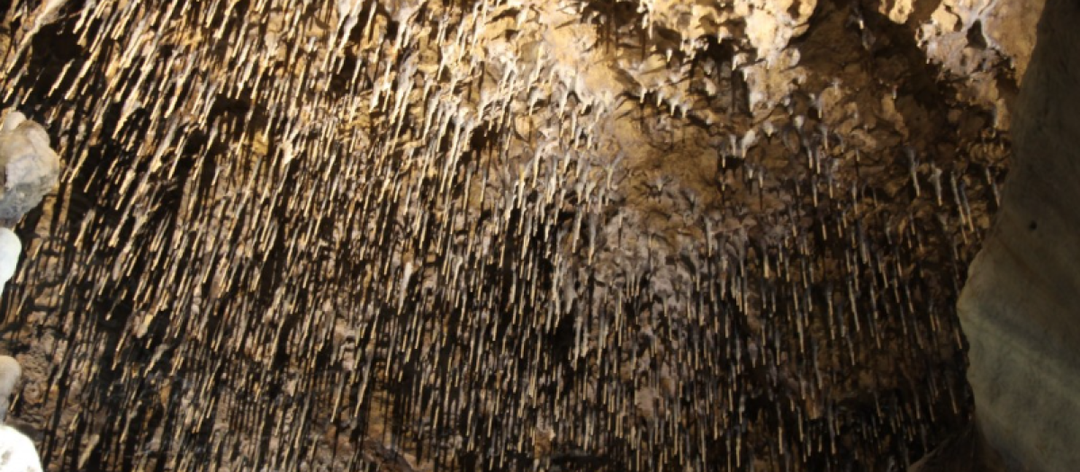 Cueva de los Enebralejos