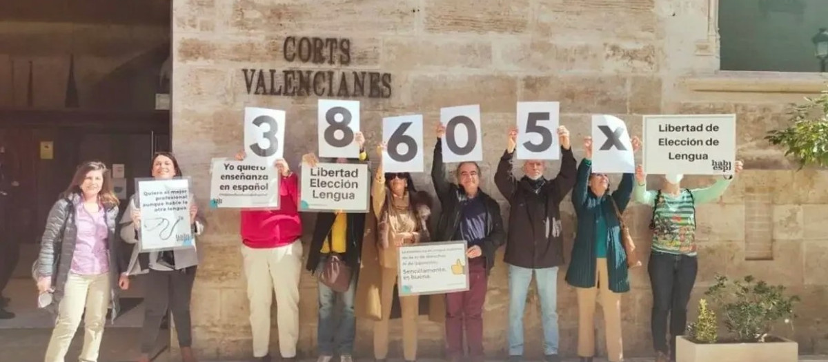 Miembros de Hablamos Español, a las puertas de las Cortes Valencianas