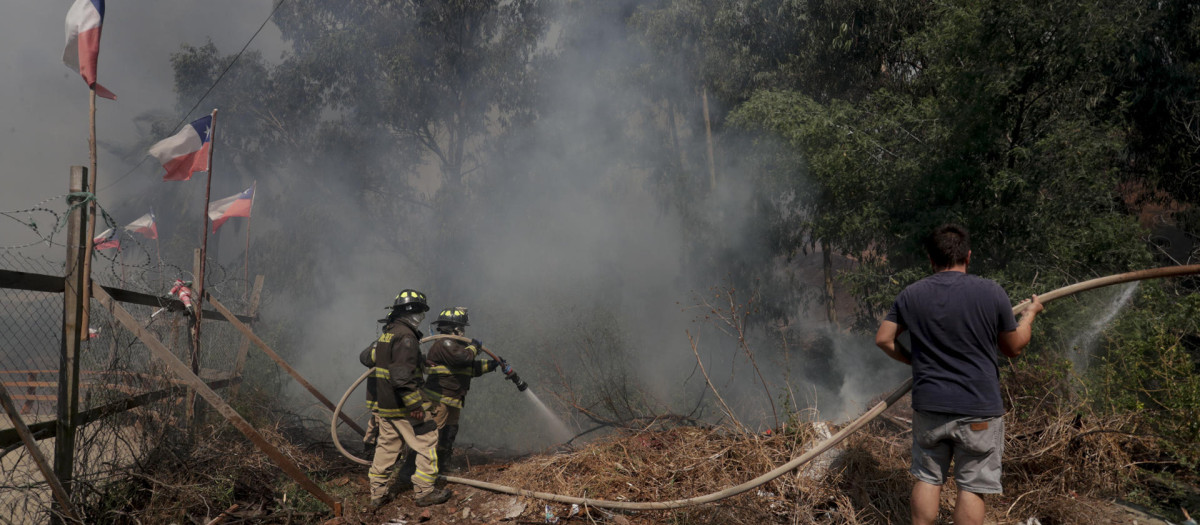 Personas combaten el fuego junto a bomberos en la zona de Las Palmas, durante los incendios forestales que afectan a Viña del Mar hoy, Región de Valparaiso (Chile). Los incendios en la región central de Valparaíso han causado por lo menos 19 muertos