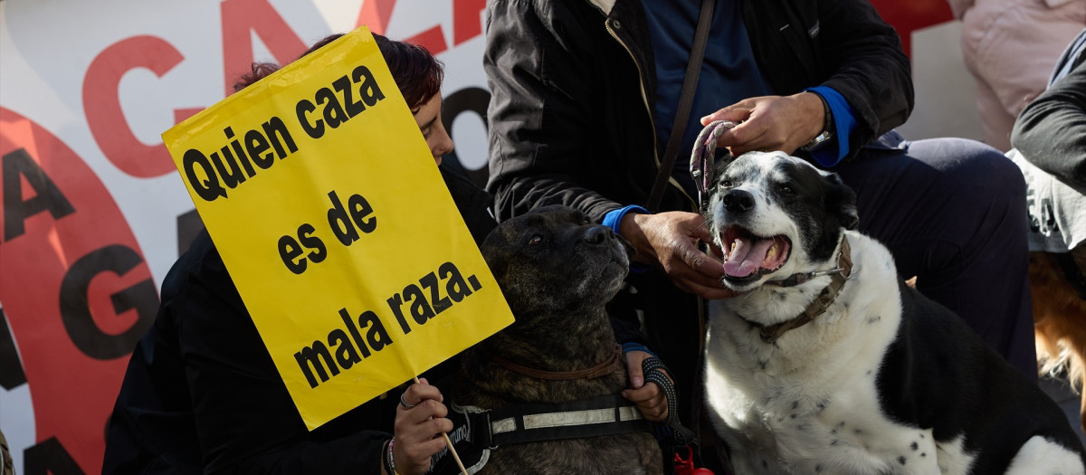 Dos perros durante la manifestación No a La Caza, en la Plaza de Callao