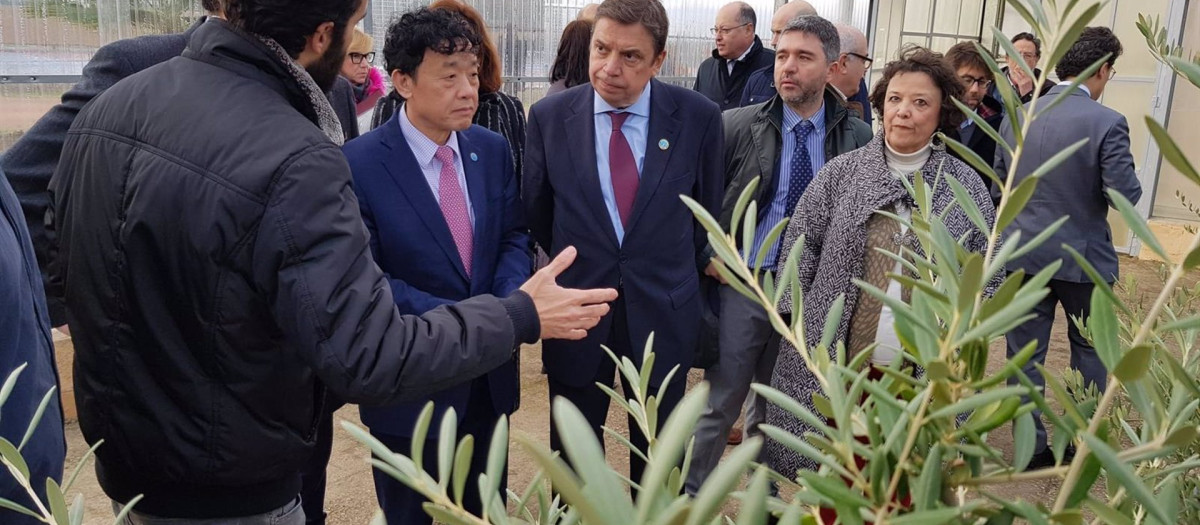 El Gobierno solicita el reconocimiento internacional para el Banco Mundial de Germoplasma del Olivo de Córdoba.