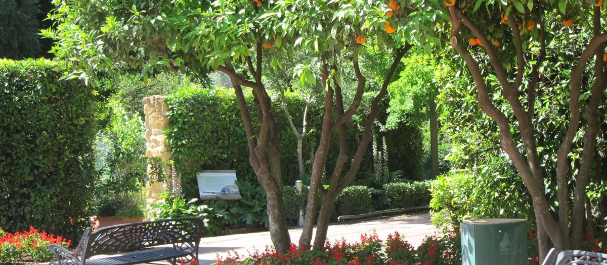 Flores, arbustos y árboles del Jardín Botánico