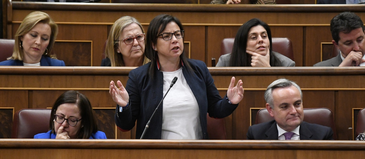 La diputada Ana Belén Vázquez Blázquez, interviene durante una sesión plenaria en el Congreso