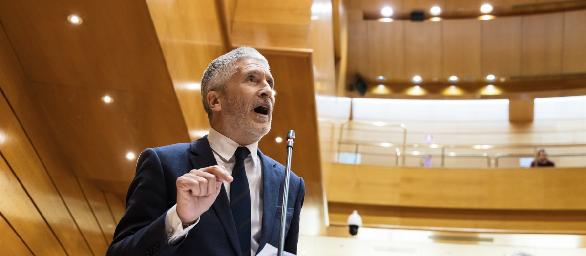 El ministro del Interior, Fernando Grande-Marlaska, interviene durante una sesión plenaria en el Senado