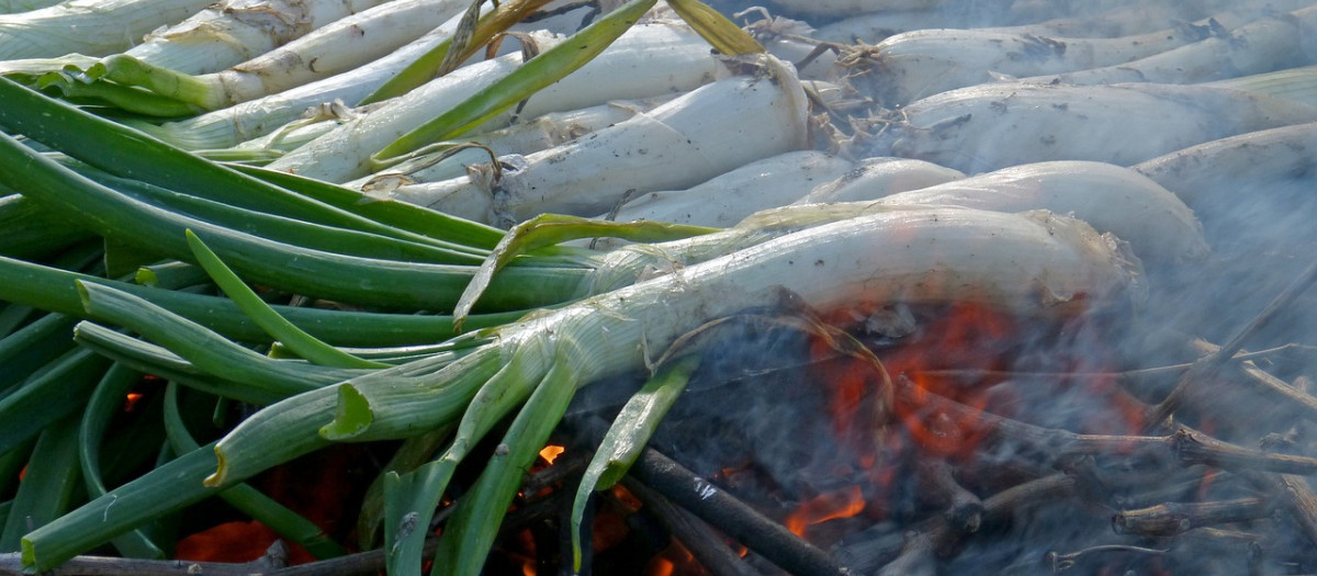 Calçot