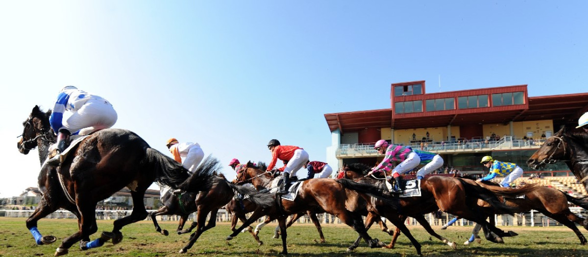 Carrera de Caballos en Dos Hermanas